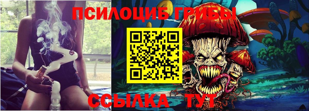 купить  цена  Галлюциногенные грибы Psilocybine cubensis  Вход с VPN  Вышний Волочёк  Галлюциногенные грибы мухоморы 